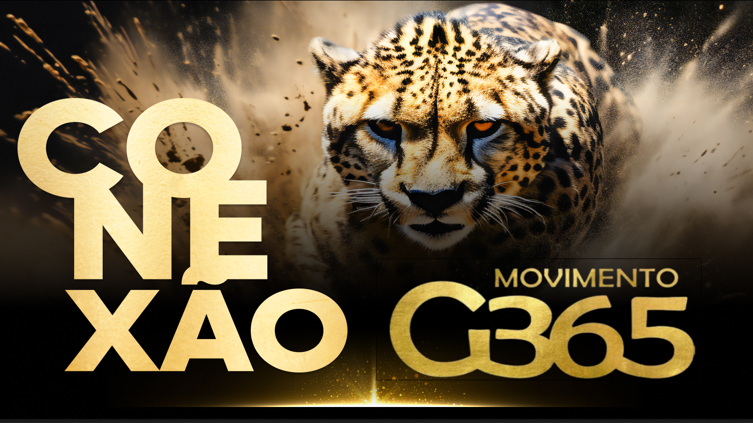 G-365 Conexões